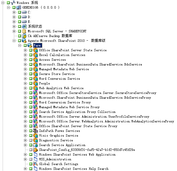 SharePoint Server 2010 中的 SharePoint 场