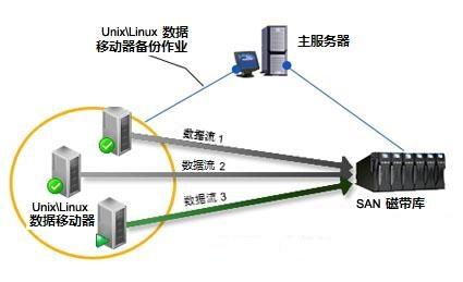体系结构图表：将数据备份到共享磁带库。