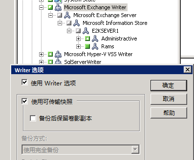 “Writer 选项”对话框。 指定“使用 Writer 选项”和“使用可传输快照”选项。