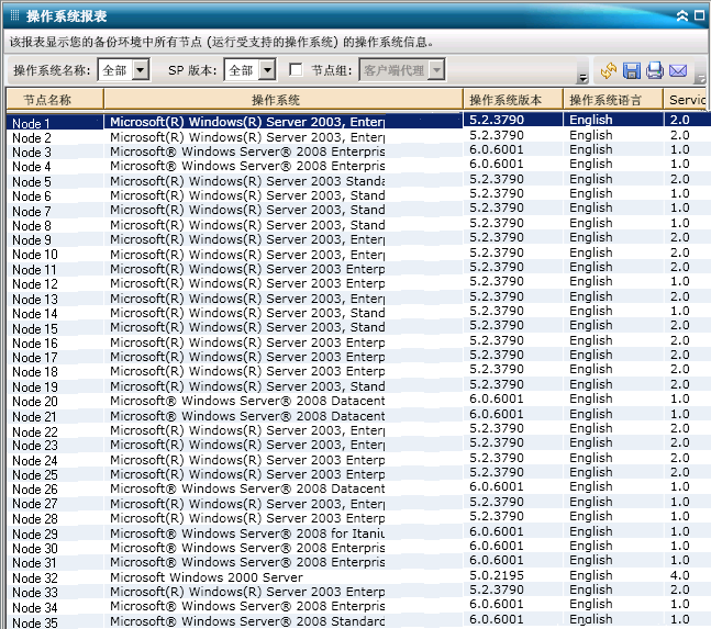 操作系统报表 - 摘要报表