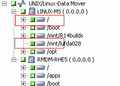 Sicherungs-Manager: Das UNIX/Linux-Systemobjekt wird eingeblendet, um einen Server und seine Inhalte anzuzeigen.