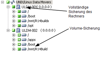 Sichern von Data Mover-Servern Wählen Sie die Quelle aus.