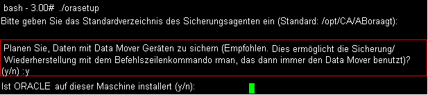 Orasetup-Befehl: Daten auf dem lokalen Data Mover-Server sichern.