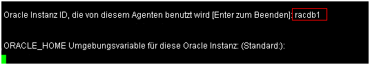 Orasetup-Befehl: Den Namen der Oracle-Instanz festlegen.