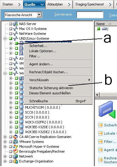 Registerkarte "Quelle", klassische Ansicht Klicken Sie auf das Kontrollkästchen neben dem Computernamen. Klicken Sie anschließend mit der rechten Maustaste auf den Computernamen, und wählen Sie im Pop-up-Menü "Statische Sicherung aktivieren" aus.