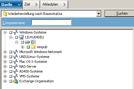 Registerkarte "Quelle" mit dem ausgewählten Wiederherstellungstyp "Wiederherstellung nach Baumstruktur".
