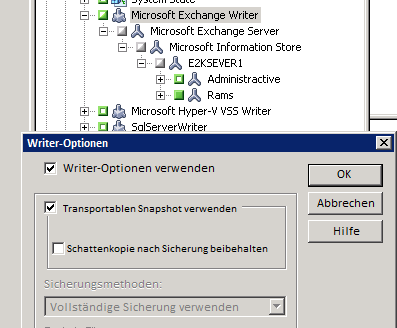 Writer-Optionen - Dialogfeld. Die Optionen "Writer-Optionen verwenden" und "Transportablen Snapshot verwenden" werden angegeben.