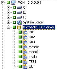 Wenn der übergeordnete Microsoft SQL Server für das dynamische Packen von Jobs markiert ist, werden auch alle untergeordneten Objekte markiert.