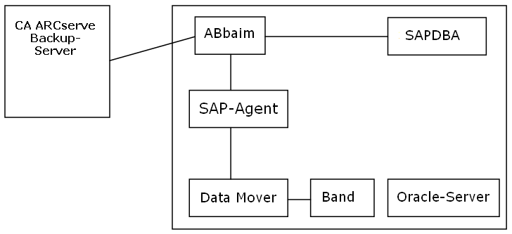 SAP Backup