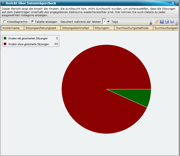 Bericht über Datenträgercheck – Zusammenfassendes Kreisdiagramm