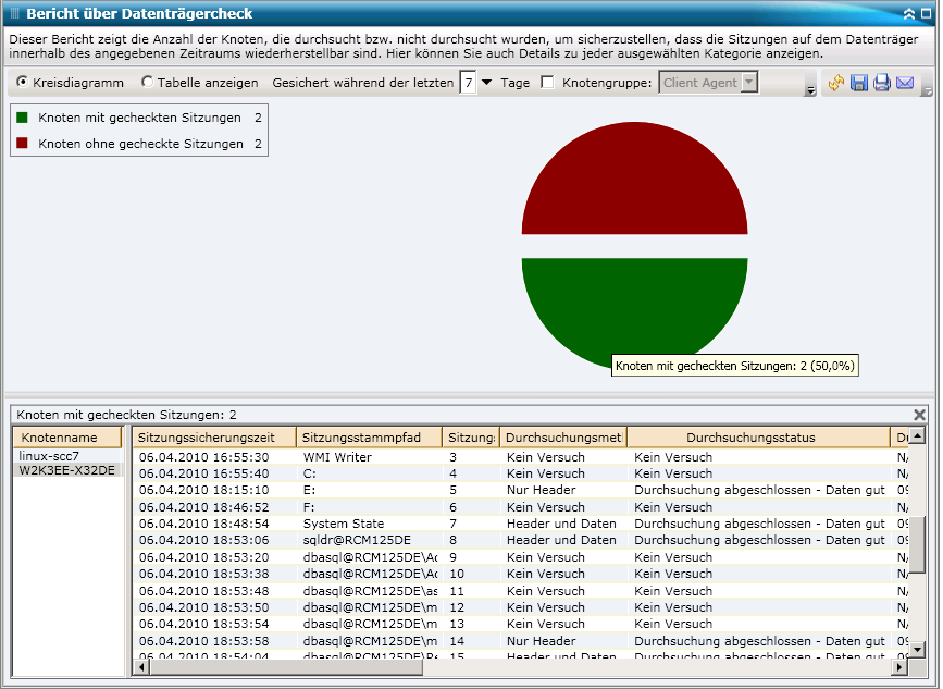 Bericht über Datenträgercheck – Kreisdiagramm mit Drilldown-Funktion