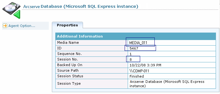 Restore Manager - ARCserve database properties