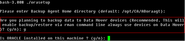 Orasetup command: Back up data on the local data mover server.