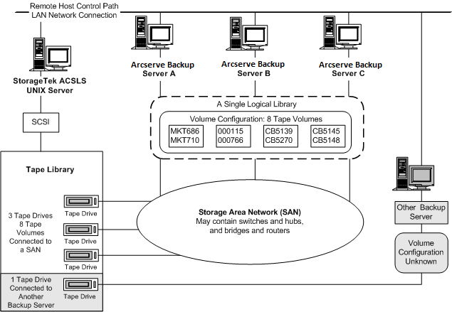 Illustrating a single set of tape volumes defining the logical library for the SAN