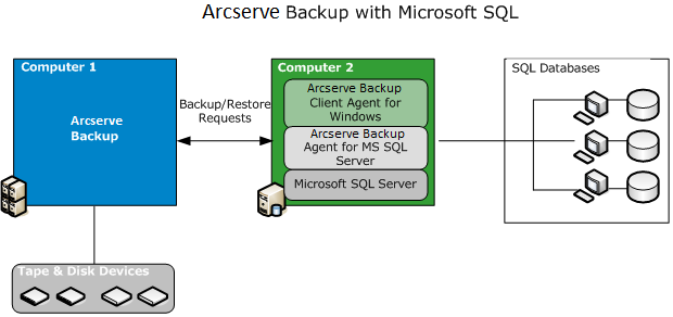 The Agent for SQL Server is installed on the same machine with SQL Server