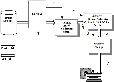 SAP_DBA_Backup Diagram