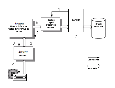 BSBAB--SAPW-SAP_DBA_Restore Diagram