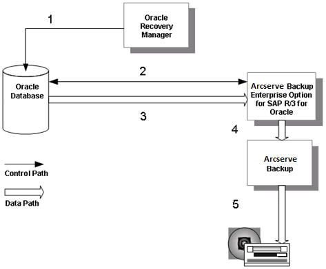 Oracle_RMAN_Backup Diagram