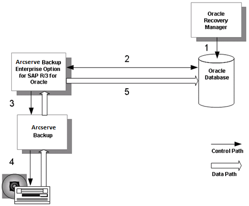 Oracle_RMAN_Restore Diagram