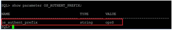 Use the SQL*Plus utility to configure the operating system to authenticate the user.