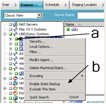 Source tab, Classic View. Click the check box next to the computer name. Then right-click the computer name and click Enable Static Backup on the pop-up menu.