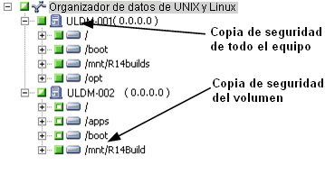 Realización de una copia de seguridad de servidores de organizador de datos. Especificar el origen.