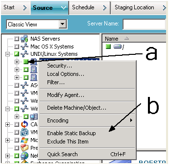Ficha Origen, Vista clásica. Haga clic en las casillas de verificación que aparecen junto al nombre del equipo. Haga clic con el botón secundario del ratón en el nombre del equipo y luego en Activar copia de seguridad estática en el menú emergente.