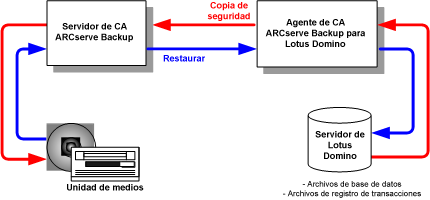 Relación entre CA ARCserve Backup y Lotus Domino