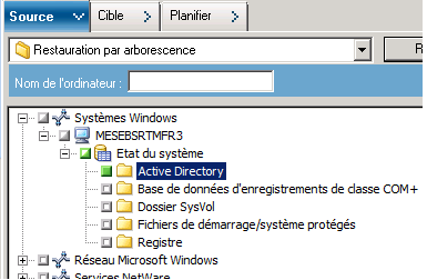 Arborescence des sources du gestionnaire de restauration. L'état du système est développé et Active Directory est sélectionné.