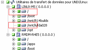 Gestionnaire de sauvegarde : l'objet Système UNIX/Linux est développé pour afficher un serveur et ses contenus.