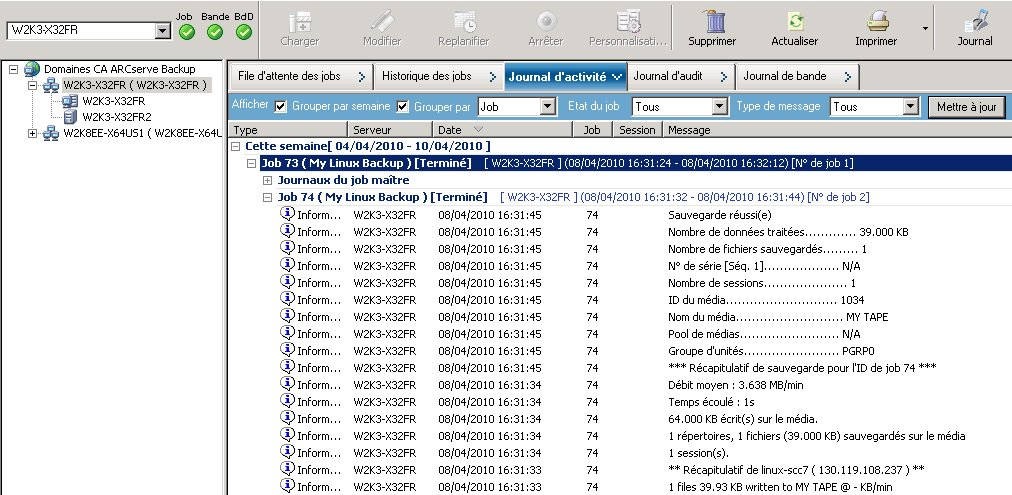 Gestionnaire d'état des jobs. Un serveur de moteur de transfert de données est sélectionné et contient les détails des jobs dans l'onglet Journal d'activité.