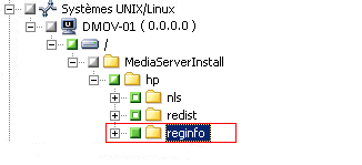 Gestionnaire de restauration. Restauration par arborescence