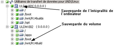 Sauvegarde de serveurs de transfert de données. Spécifiez la source.