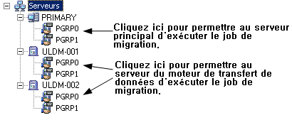 ULDM-final destination
