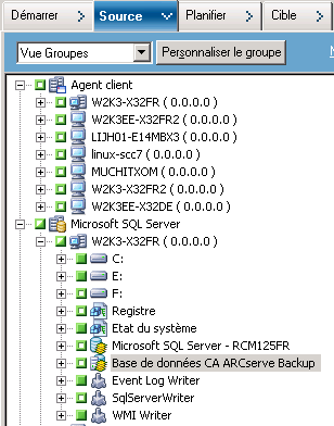 Onglet Source du Gestionnaire de sauvegarde La base de données CA ARCserve Backup est exclue de la source.