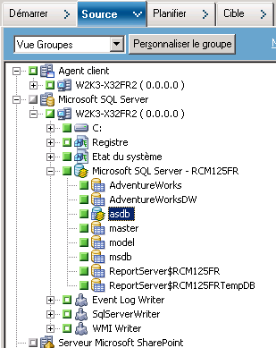 Onglet Source du Gestionnaire de sauvegarde La base de données CA ARCserve Backup est exclue de la source.