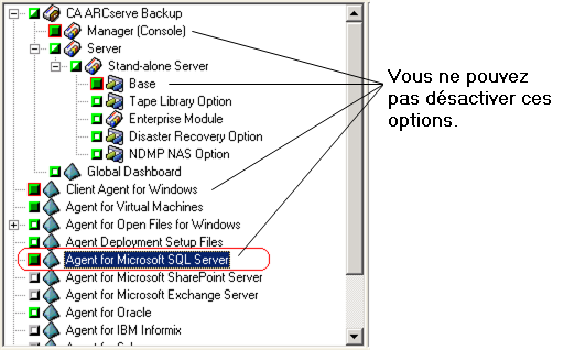 Boîte de dialogue Composants : L'Agent pour Microsoft SQL Server est mis en surbrillance. Vous ne pouvez pas décocher la case.