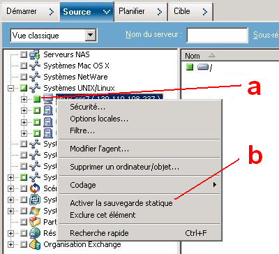 Onglet Source, vue classique. Cliquez sur la case située à côté du nom de l'ordinateur. Cliquez sur le nom de l'ordinateur avec le bouton droit et cliquez sur Activer la sauvegarde statique dans le menu contextuel.