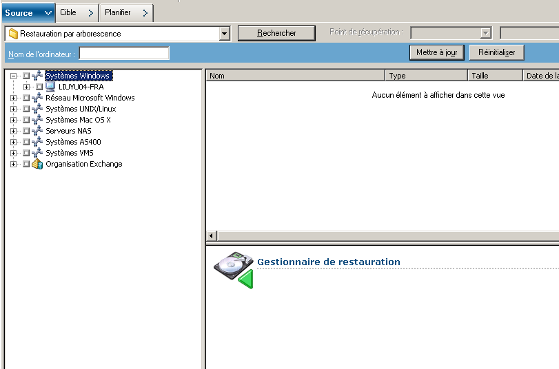 Onglet source avec le type de restauration Restauration par arborescence sélectionné.