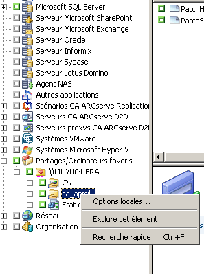 Fenêtre Gestionnaire de sauvegarde. Volume sur lequel l'option Sauvegarde locale est activée.