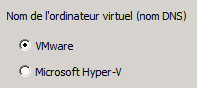 Spécifiez l'option VMware dans la fenêtre Récupérer l'ordinateur virtuel.