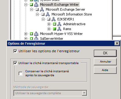 Boîte de dialogue Options de l'enregistreur. Les options Utiliser les options de l'enregistreur et Utiliser le cliché transportable sont spécifiées.