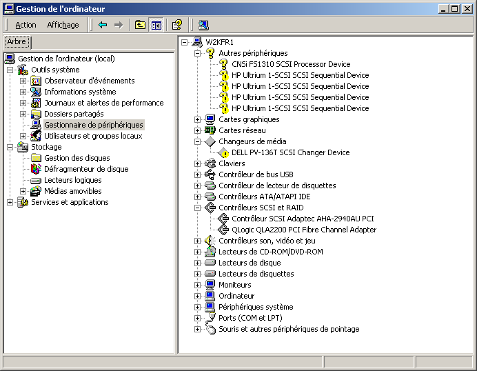 Boîte de dialogue Gestion d'ordinateur. L'objet de périphériques Autre est développé ; il affiche les noms des périphériques connectés au serveur.