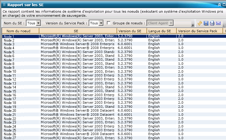 Rapport sur les SE : Rapport de liste récapitulatif