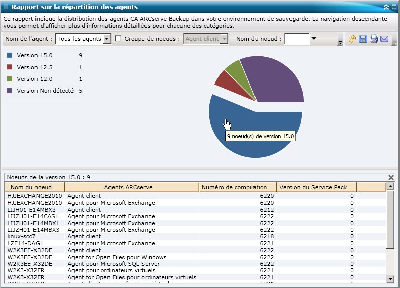 Rapport sur la répartition des agents : Graphique à secteurs détaillé