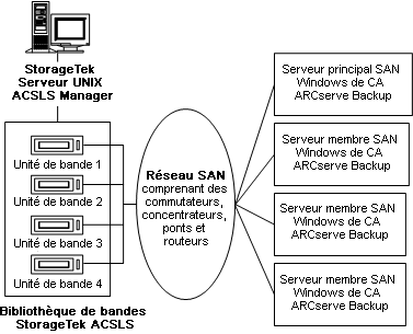 Illustration des unités de bandes sous StorageTek ACSLS connectées à plusieurs serveurs CA ARCserve Backup par le biais d'un réseau SAN