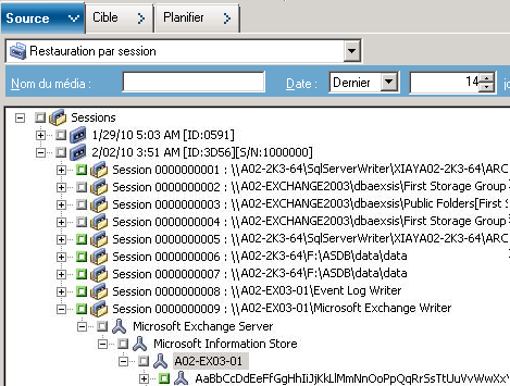 Onglet source avec le type de restauration Restauration par session sélectionné.
