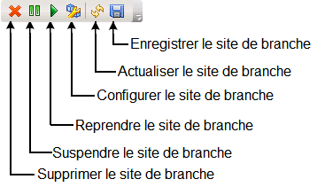 Icônes du gestionnaire central