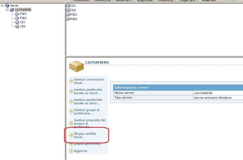 Schermata dei dettagli relativi a Sfoglia cartella cloud a partire dai server