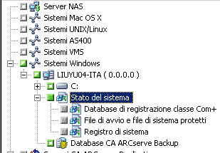 Scheda Origine di Gestione backup. Lo Stato del sistema viene selezionato.